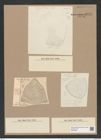Stictodiscus pulchellus Truan et Witt. (de-Toni-Nr.: Genus 205, Species 5249) Zeichnungen Sammlung Grunow Nr. 9040 (NHMW-BOT-W0378768)